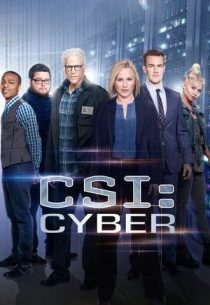 دانلود سریال CSI: Cyber428329-1449869042