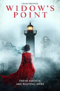 دانلود فیلم Widow’s Point 2019428433-171298162