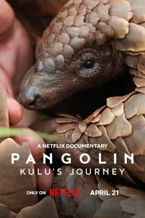 دانلود مستند Pangolin: Kulu’s Journey 2025430703-1195750636