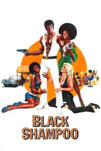 دانلود فیلم Black Shampoo 1976435042-64664531