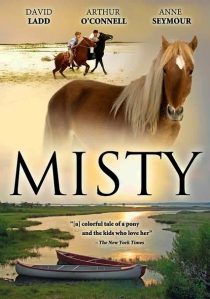 دانلود فیلم Misty 1961436665-384479125
